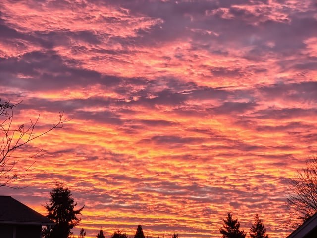 Gorgeous sunrise this morning