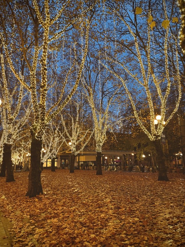 I ❤️ Seattle in the fall (PSQ)