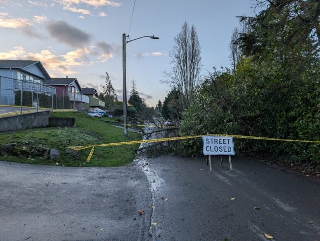 WEST SEATTLE WEATHER: Tree down on 22nd SW