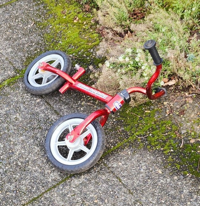 READR REPORT:  Three lost or stolen/dumped kids’ bicycles