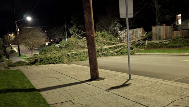 WEST SEATTLE WEATHER: Tree blocking SW Hanford