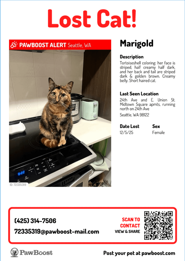 Central District – Lost Cat – Last seen 12/5/2025