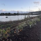 Update on Duwamish River from Chinook Wind in Tukwila