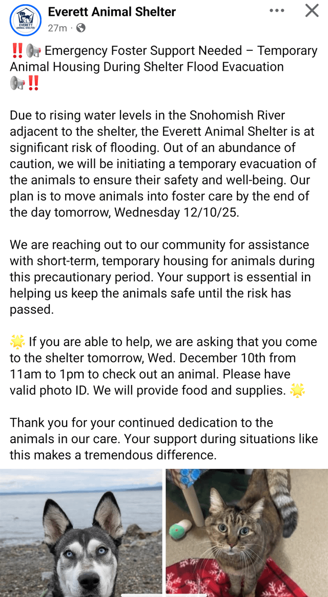 Everett animal shelter needs help for flooding evac