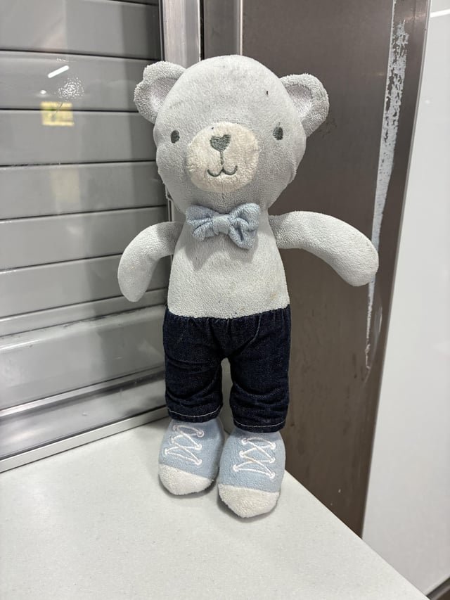 Found Stuffed Bear in SeaTac Parking Garage