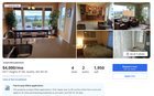 Anybody want to pay them $4,000 a month to WATCH THEIR CAT?!