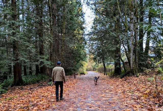 Is the Pacific Northwest ready for a wave of climate migration?
