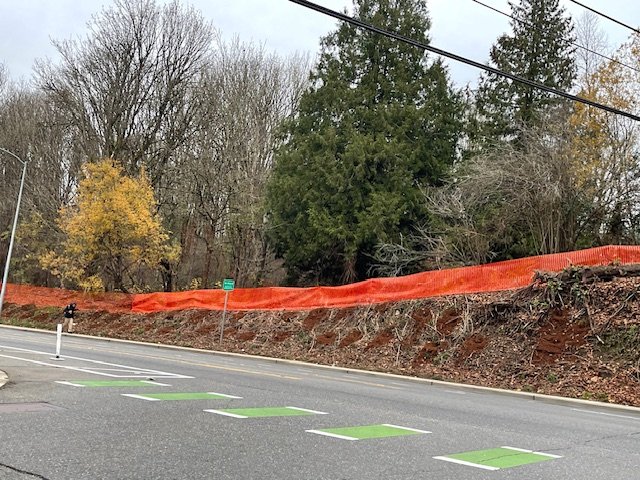 You asked, so we asked: About the orange mesh along Delridge slope