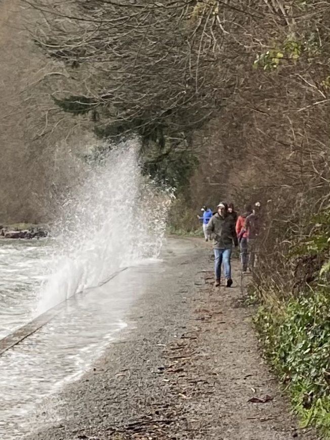 WEST SEATTLE WEATHER: Christmas Day makes a splash at waterfront parks, plus – what’s next