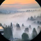 Sunrise fog