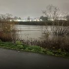 Green River in Tukwila