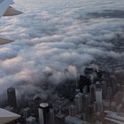 Fog City