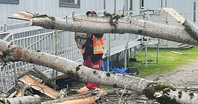 King County’s cat shelter damaged by windstorm