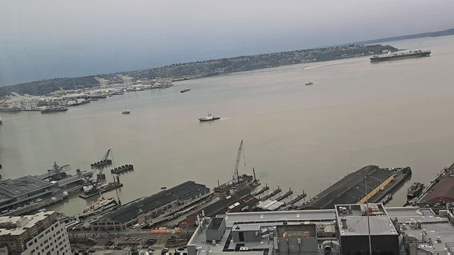 Sound looks pretty brown today, assuming because of the floods