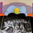 Where can I buy some thick Mexican blankets?