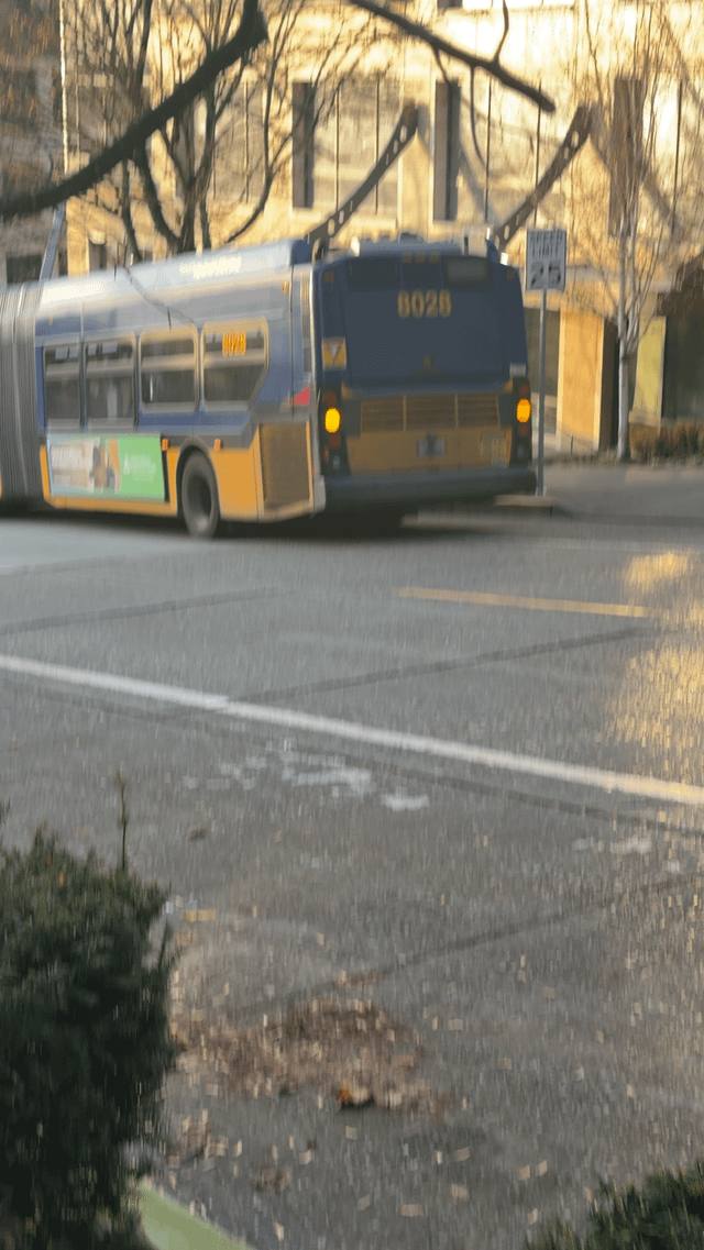 Sound transit rolling out its city wide popcorn buses.