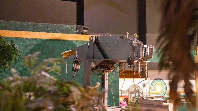 Who wants a Pac sci dinosaur in their apartment?