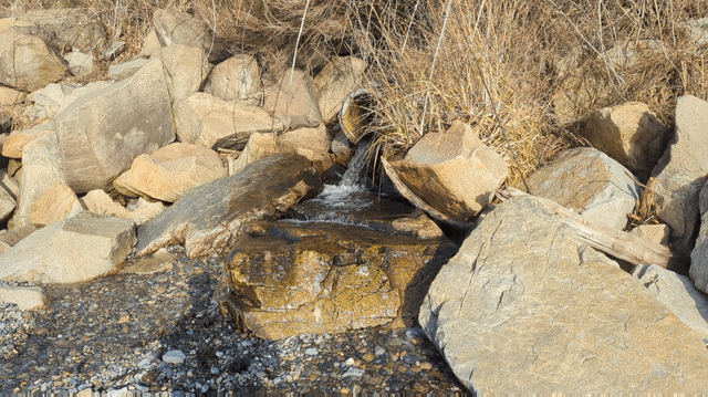 The other side of your Storm Drain