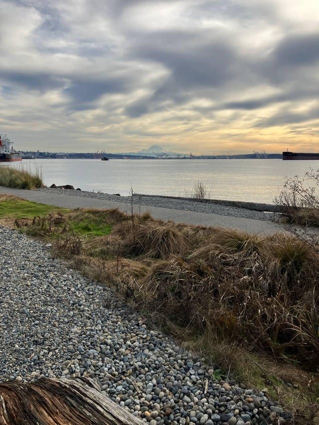 Rainier From Myrtle Edwards Park