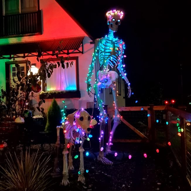 WEST SEATTLE CHRISTMAS LIGHTS: Holiday fusion