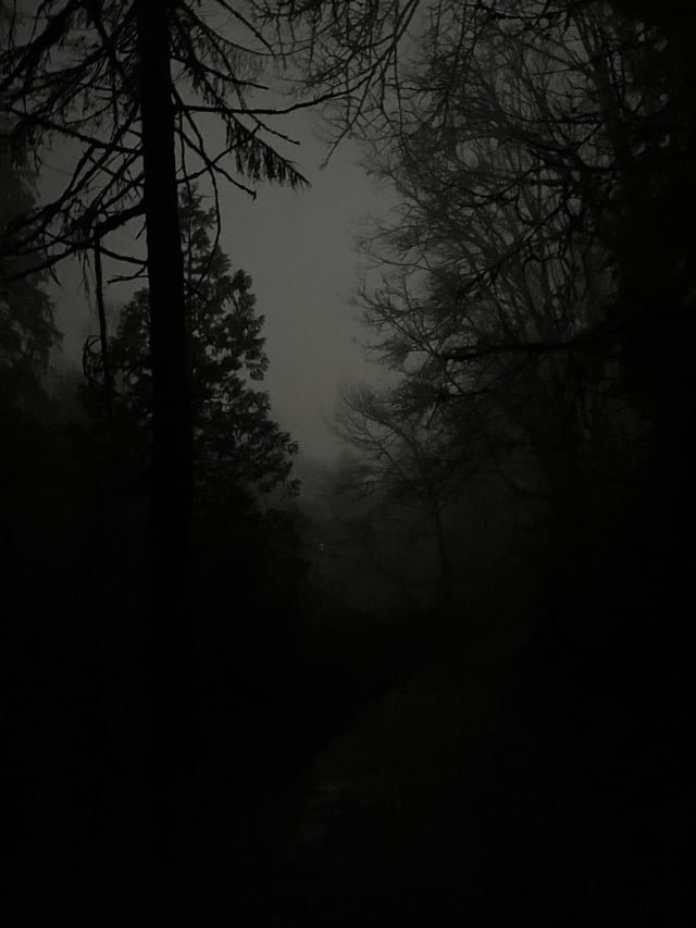 I’m walking through Ravenna park rn without a flashlight AMA
