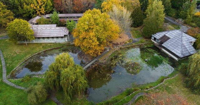 Seattle may force owner of rare open space to sell