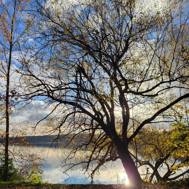 A recent afternoon at GreenLake