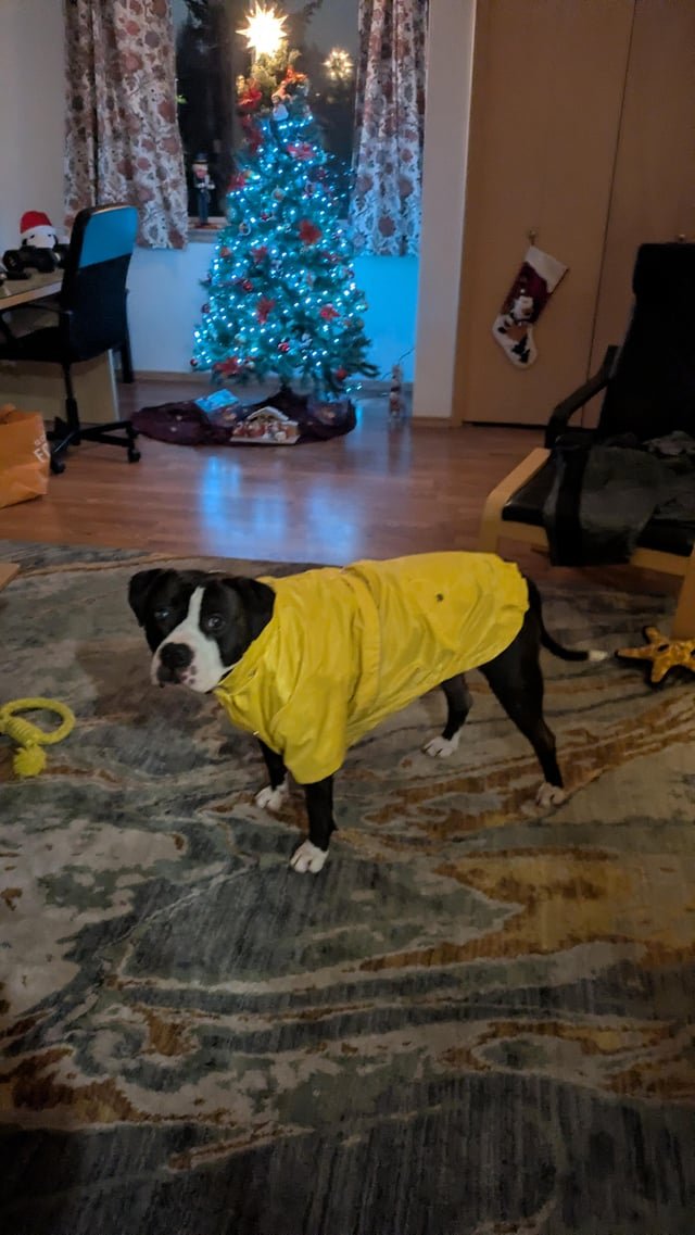 It’s raining this morning