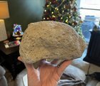 Going through all my dad’s cool sh*t and found this “rock” of ash he picked up when we visited Mt. St. Helens after the eruption in 1980. Looks hefty, weighs almost nothing. We were living in Renton when it blew.