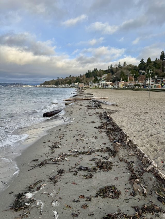 King tides are coming in. Come down to the Sound to see some great waves.