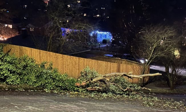 WEST SEATTLE WEATHER: Wind Advisory alert for Monday
