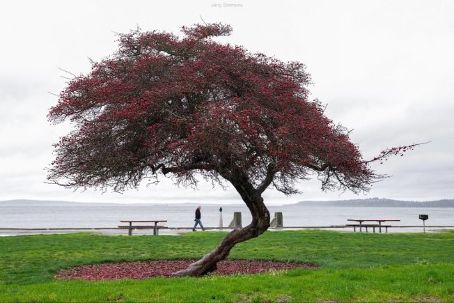 From WS Big Band to crafting to crime stats, here’s the list for your West Seattle Tuesday