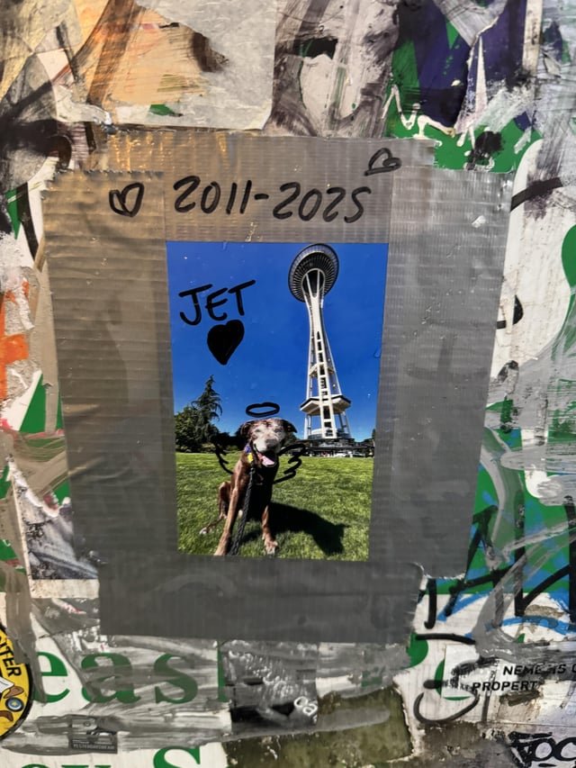 Jet 🖤 2011-2025