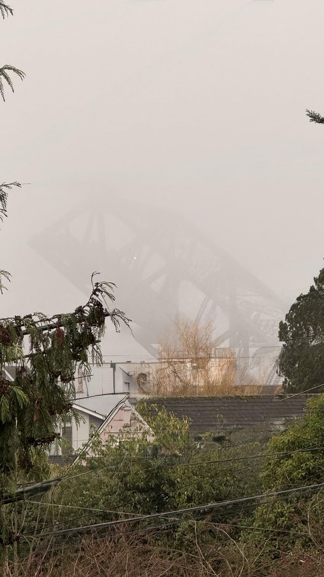 I love foggy days here.