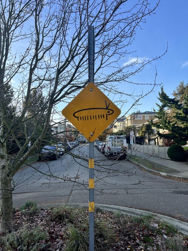 Seen on the Streets of QA