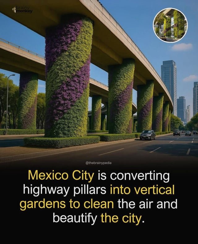 Mexico City is converting highway pillars into vertical gardens to clean the air and beautify the city. Thoughts on Seattle doing something similar?