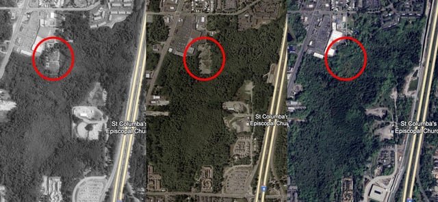What is this forested area around Star Lake station? And why was part of it demolished and reforested?