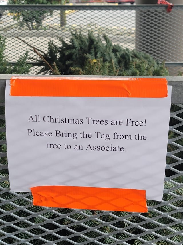 Free trees- Ballard Fred Meyer