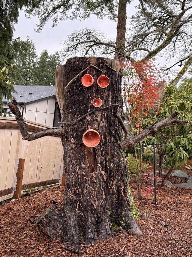 I love tree face! 👁️👄👁️
