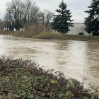 Update on Green River in Tukwila.