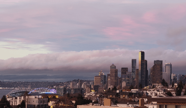 Never leaving. 🌆