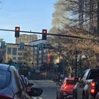 On Fire Tree by I5 Entrance