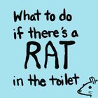 King County Public Health advises you to flush your toilet rats