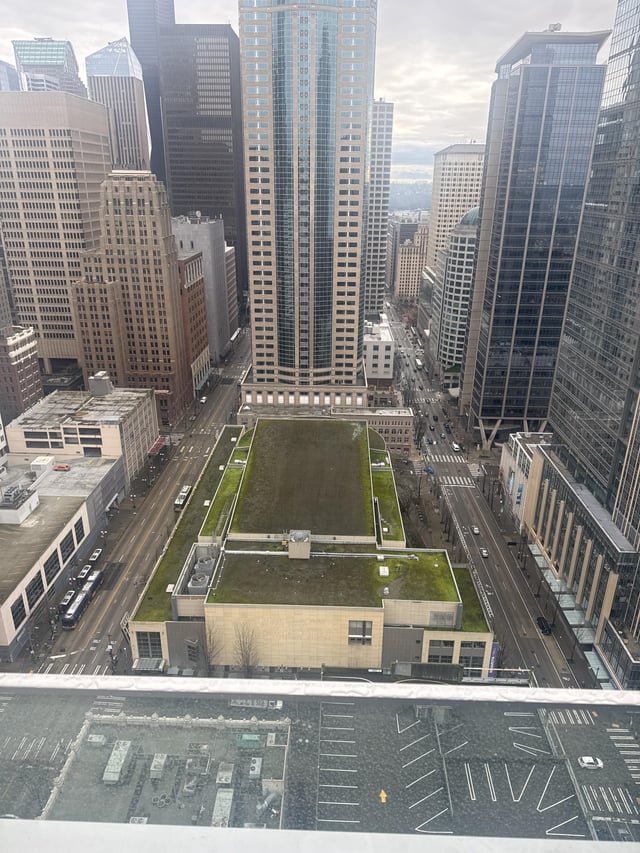 Urban Rooftop Green Spaces