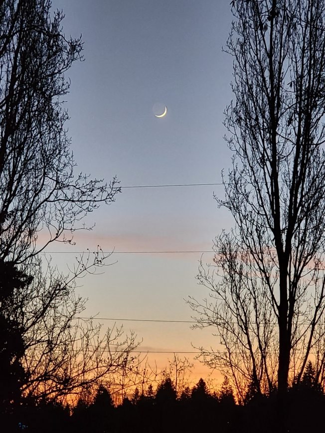 WEST SEATTLE SKY: Aurora encore tonight?