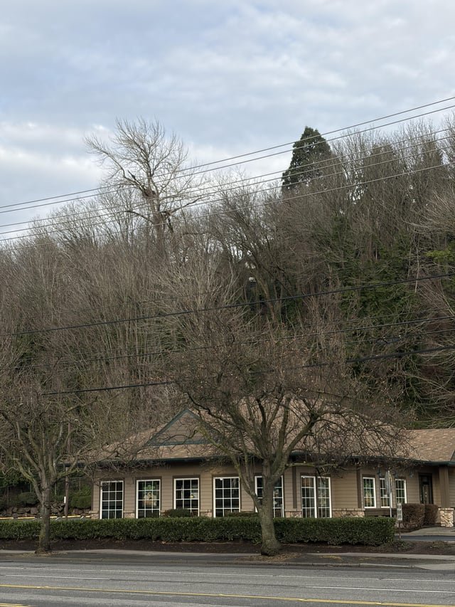 Eagle’s nest above Interbay Taco Time