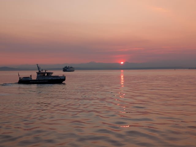 took this back in august
