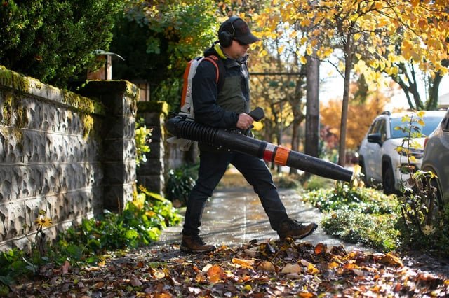 Can Seattle Ban Noisy Gas Powered Leaf Blowers too?
