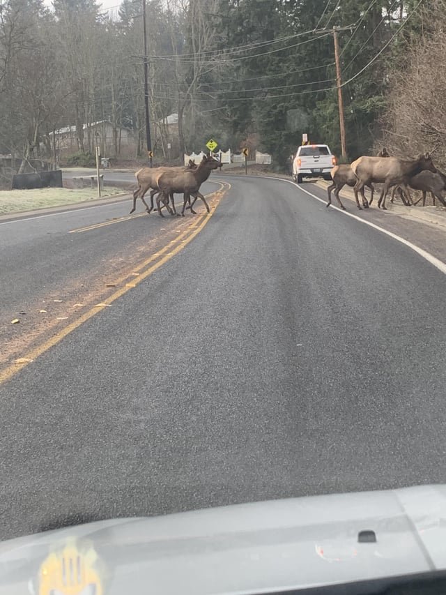 Seen in Auburn