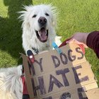 ICE Out protest today